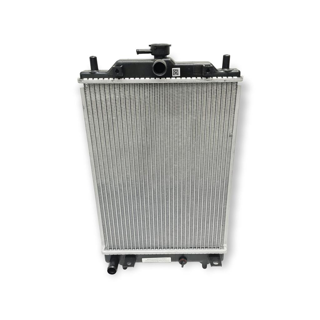 P4-41-C3 RADIADOR N200 (NO USA TAPA) WL-8117 <