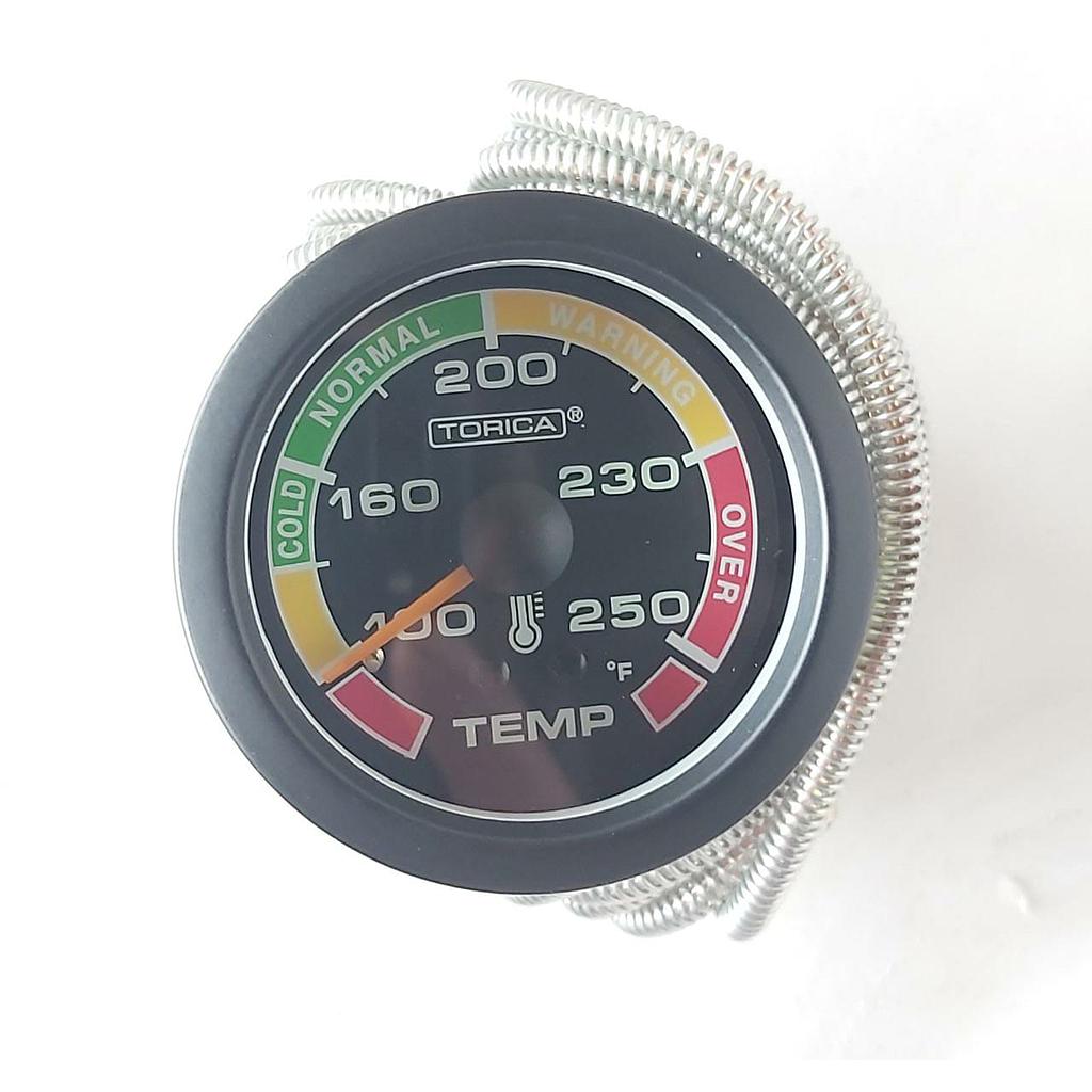 P2-19- A2 RELOJ TEMPERATURA G-LARGA  - 3 METROS -  (TORICA) GTC-500<