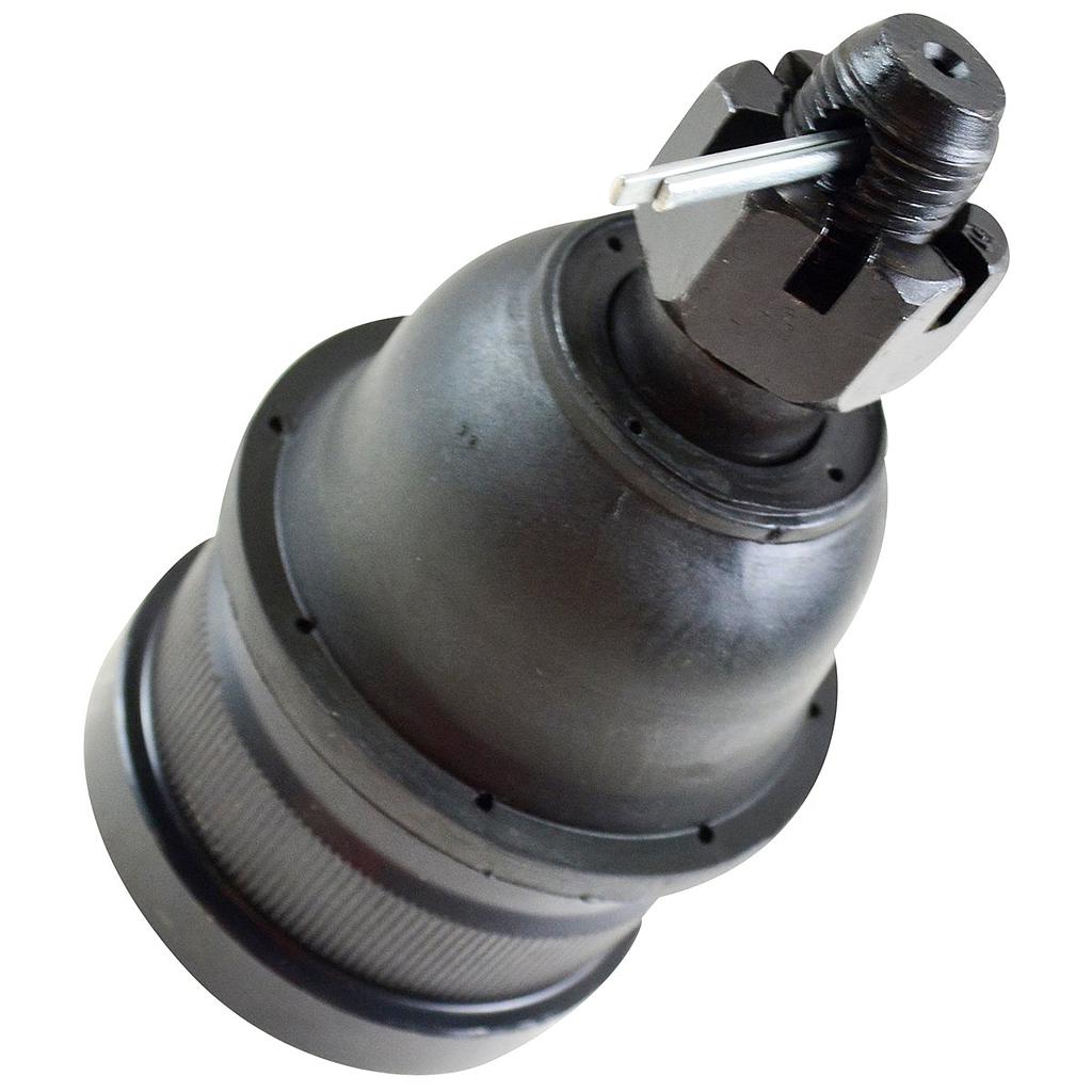 P3-28-I1 ROTULA CHEYENNE INFERIOR TODOS (GDS) K6293<